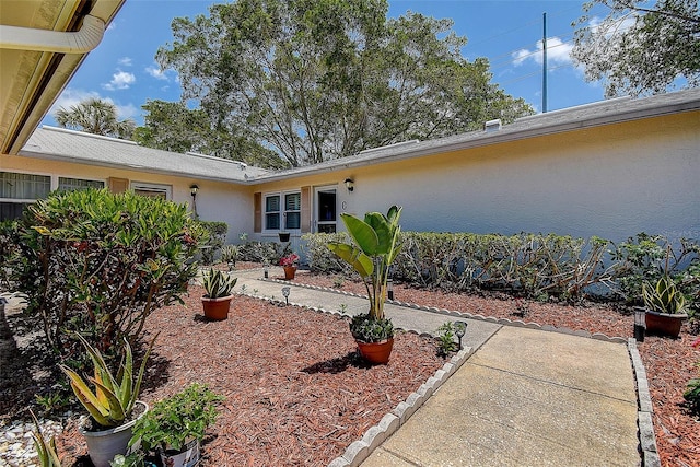 doorway to property with stucco siding and a patio area