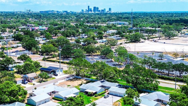 bird's eye view