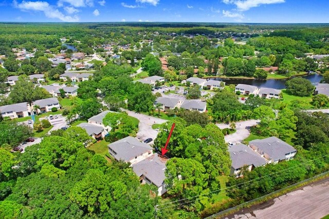 134 Sycamore Ln Unit F, Oldsmar, FL 34677 - photo 22