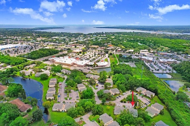 134 Sycamore Ln Unit F, Oldsmar, FL 34677 - photo 26