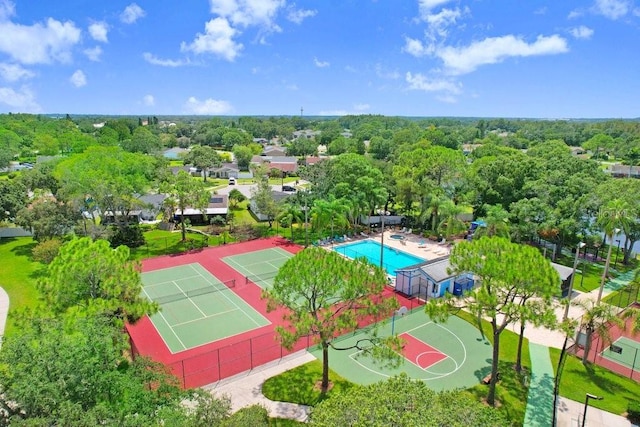 134 Sycamore Ln Unit F, Oldsmar, FL 34677 - photo 28