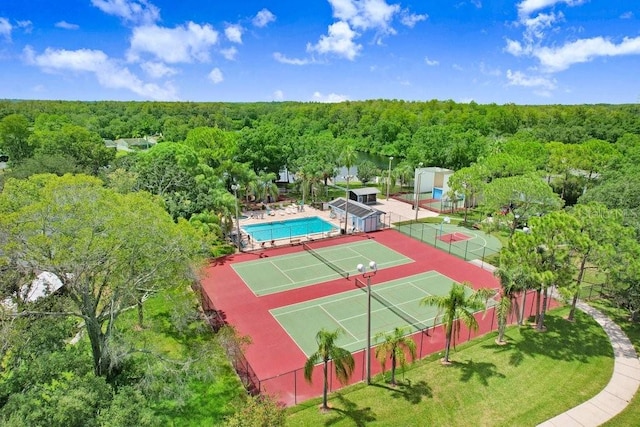 134 Sycamore Ln Unit F, Oldsmar, FL 34677 - photo 29