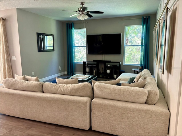 4407 Scarlet Loop, Wesley Chapel, FL 33544 - living room featuring plenty of natural light, wood finished floors, ceiling fan, a textured ceiling, and baseboards