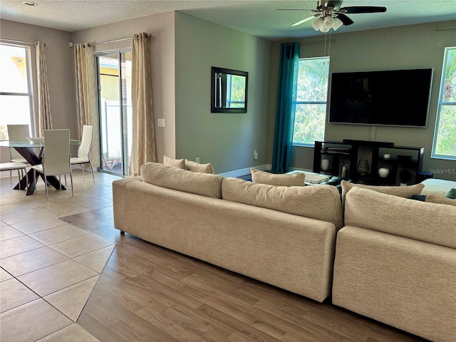 4407 Scarlet Loop, Wesley Chapel, FL 33544 - living room with light wood finished floors, ceiling fan, healthy amount of natural light, a textured ceiling, and baseboards