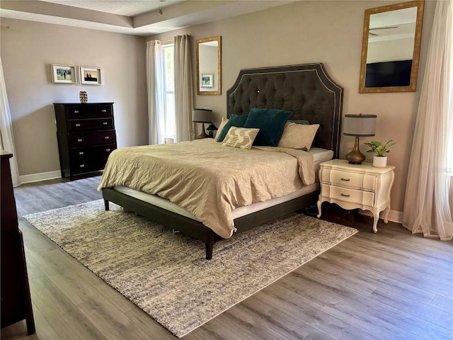 4407 Scarlet Loop, Wesley Chapel, FL 33544 - bedroom featuring wood finished floors and baseboards