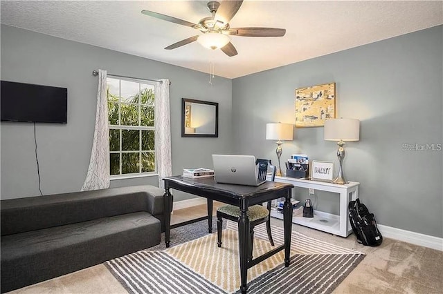 4407 Scarlet Loop, Wesley Chapel, FL 33544 - office with a ceiling fan, carpet flooring, and baseboards