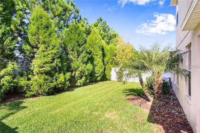 4407 Scarlet Loop, Wesley Chapel, FL 33544 - view of yard
