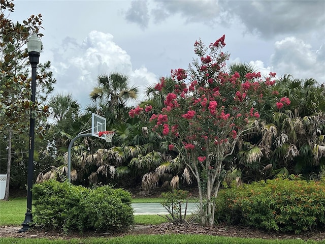 4407 Scarlet Loop, Wesley Chapel, FL 33544 - photo 39