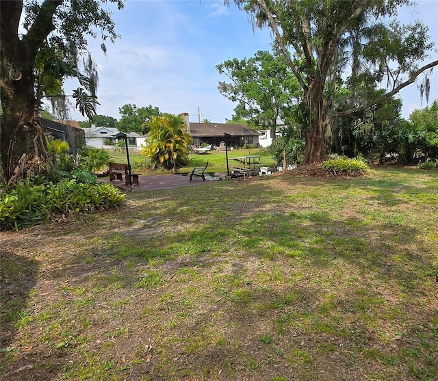 view of green lawn