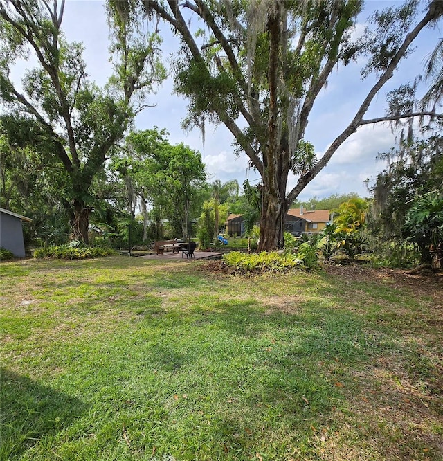 view of green lawn