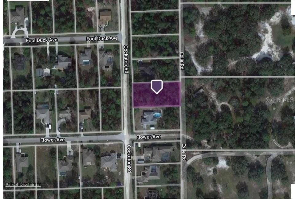 8312 Cockatoo Rd, Weeki Wachee, FL 34613