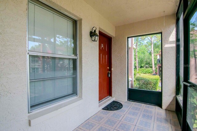 3455 Countryside Blvd Unit 31, Clearwater, FL 33761 - photo 10
