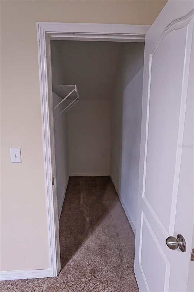 621 Washita Stone Dr, Ruskin, FL 33570 - walk in closet with carpet