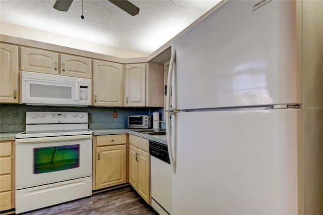 7425 Bay Island Dr S Unit 203, South Pasadena, FL 33707 - photo 28