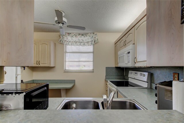 7425 Bay Island Dr S Unit 203, South Pasadena, FL 33707 - photo 31