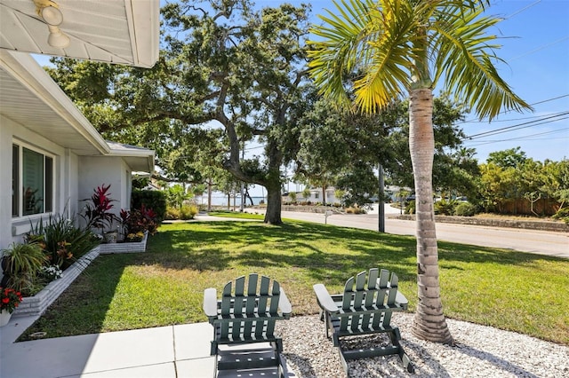 1039 Union St, Clearwater, FL 33755 - photo 6