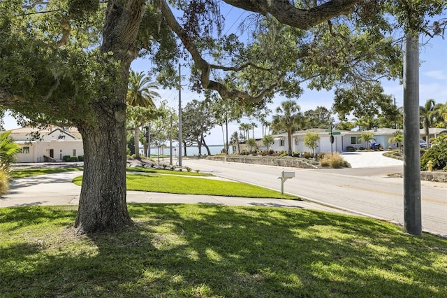 1039 Union St, Clearwater, FL 33755 - photo 67