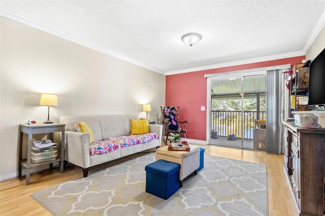 3823 N Oak Dr Unit K22, Tampa, FL 33611 - living area featuring crown molding, a textured ceiling, wood finished floors, and baseboards