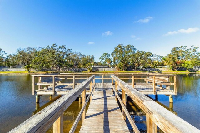 3823 N Oak Dr Unit K22, Tampa, FL 33611 - dock area featuring a water view
