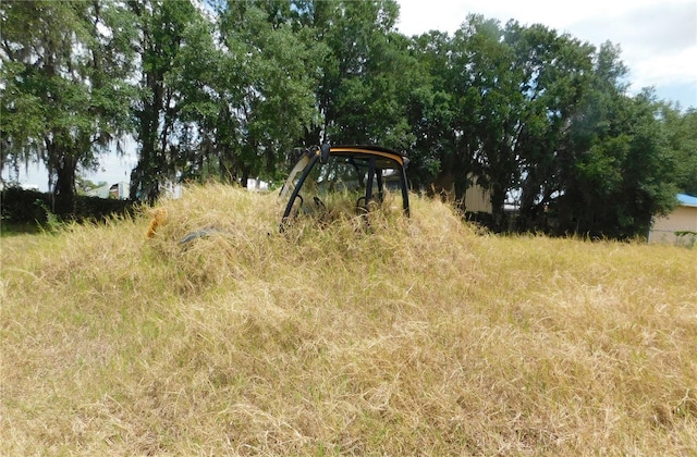 view of local wilderness