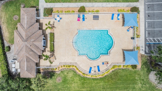 bird's eye view