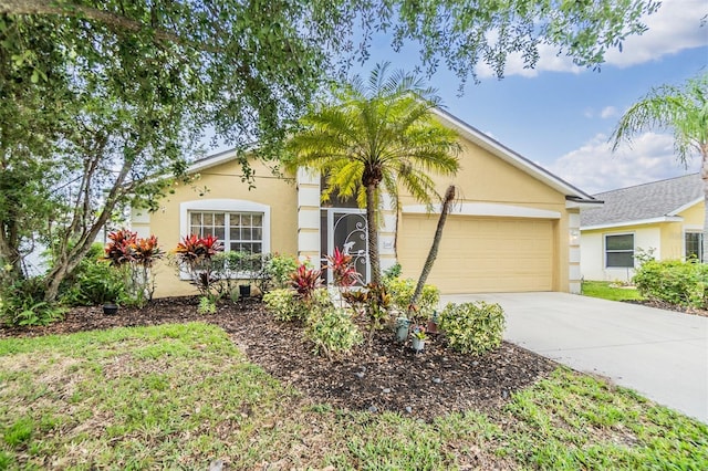view of front of property featuring driveway, stucco siding, and an attached garage