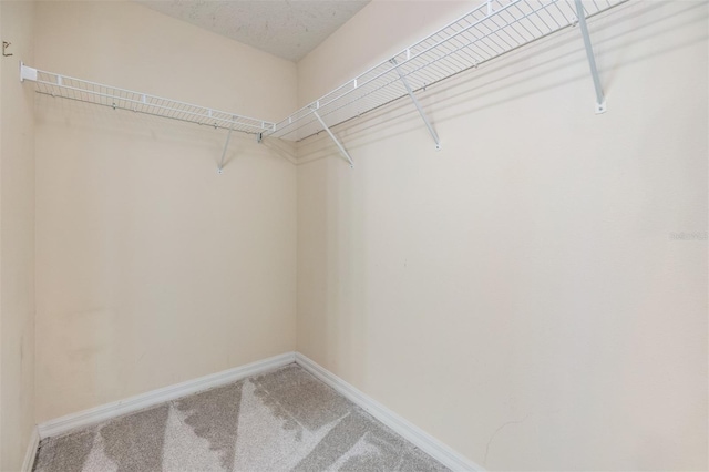 walk in closet with light carpet
