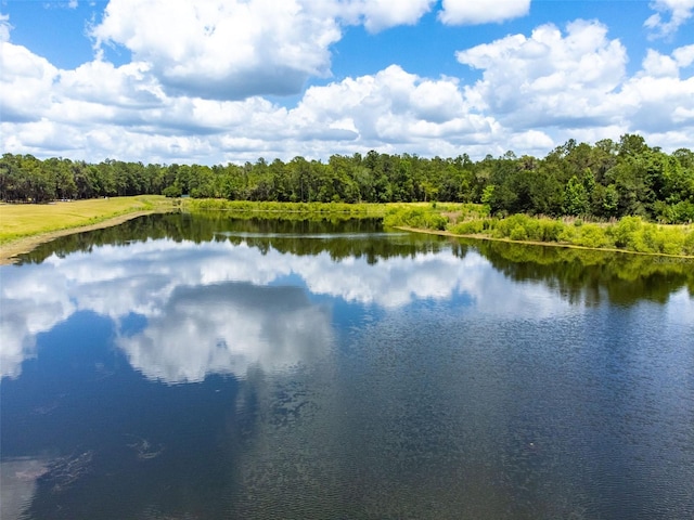 4260 Baudelaire Ct, Brooksville, FL 34604 - photo 23