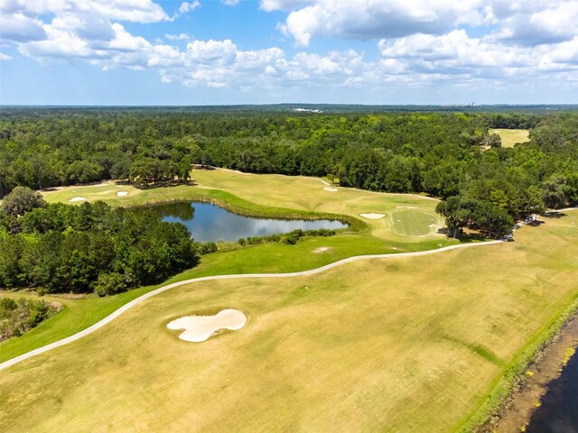 4260 Baudelaire Ct, Brooksville, FL 34604 - photo 21