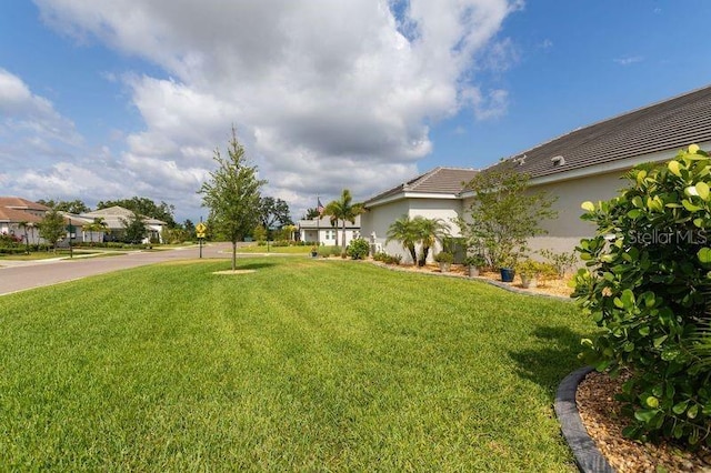 view of green lawn