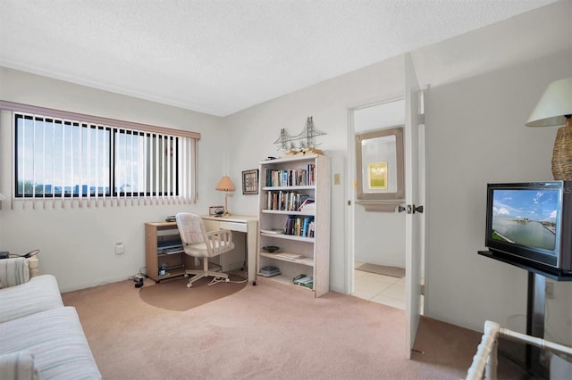 office space featuring carpet and a textured ceiling