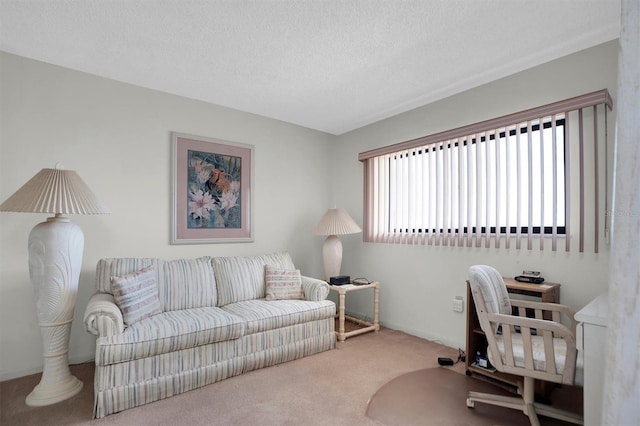 home office with carpet flooring and a textured ceiling