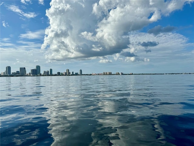 view of water feature with a city view