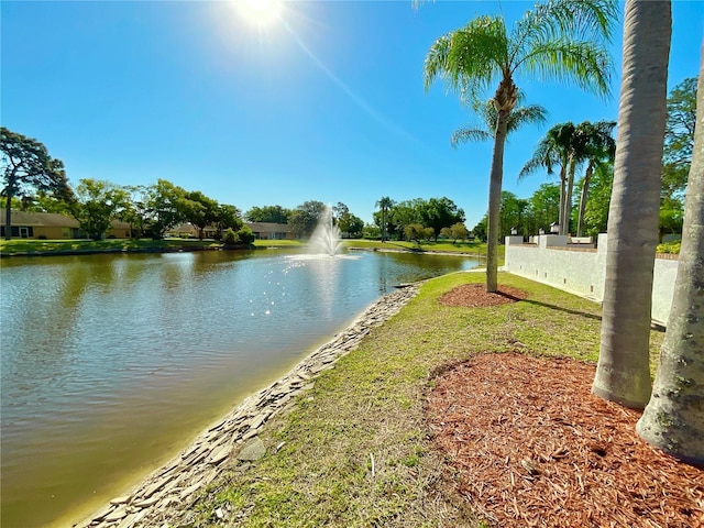 4740 Carrington Ct Unit 4740, New Port Richey, FL 34655 - water view