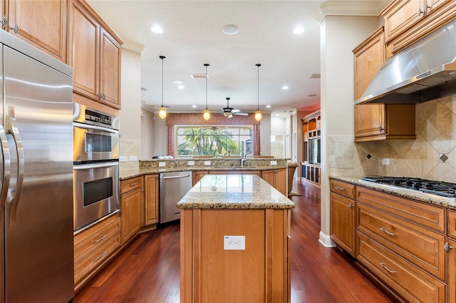 3300 Stonegate Falls Dr, Land O Lakes, FL 34638 - kitchen featuring appliances with stainless steel finishes, under cabinet range hood, a peninsula, a kitchen island, and dark wood-style floors