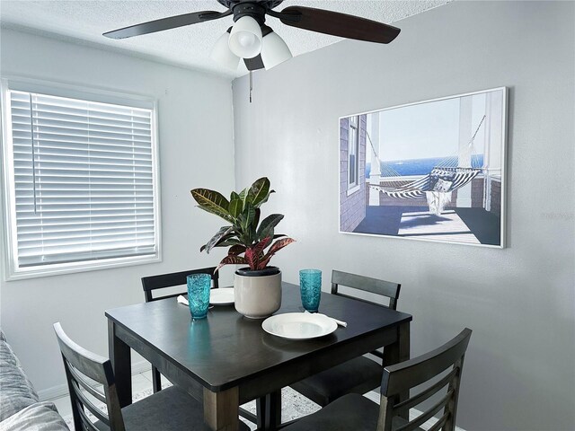 5225 Coquina Key Dr SE Unit B, Saint Petersburg, FL 33705 - photo 6