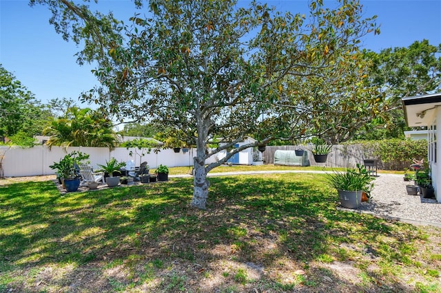 view of yard