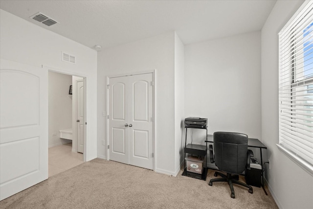 11831 Thicket Wood Dr, Riverview, FL 33579 - photo 31