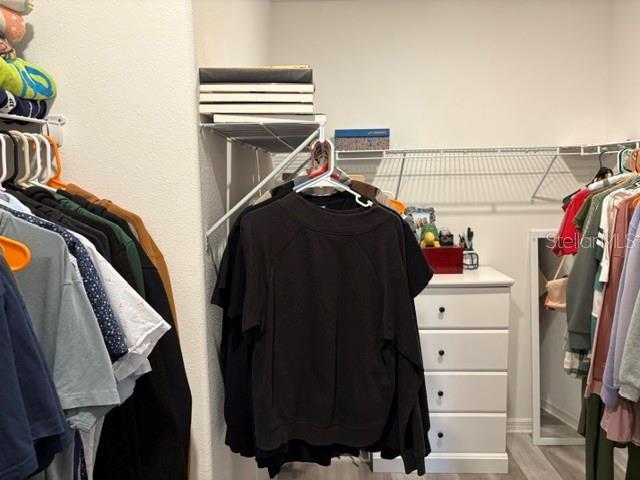 walk in closet featuring wood finished floors