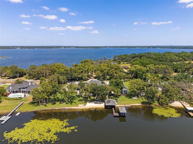 5500 W Lake Butler Rd, Windermere, FL 34786 - bird's eye view of a large body of water
