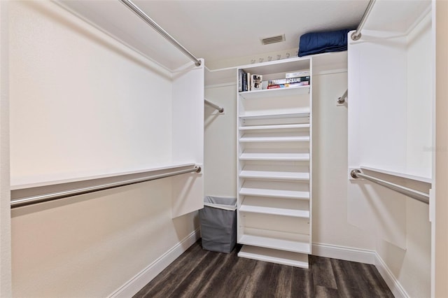walk in closet featuring dark wood-type flooring