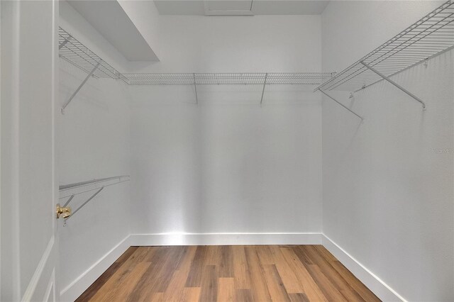 spacious closet with wood finished floors