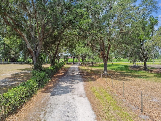1202 Williams Rd, Plant City, FL 33565 - view of road