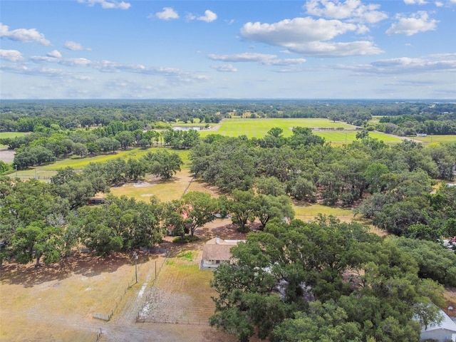 1202 Williams Rd, Plant City, FL 33565 - bird's eye view