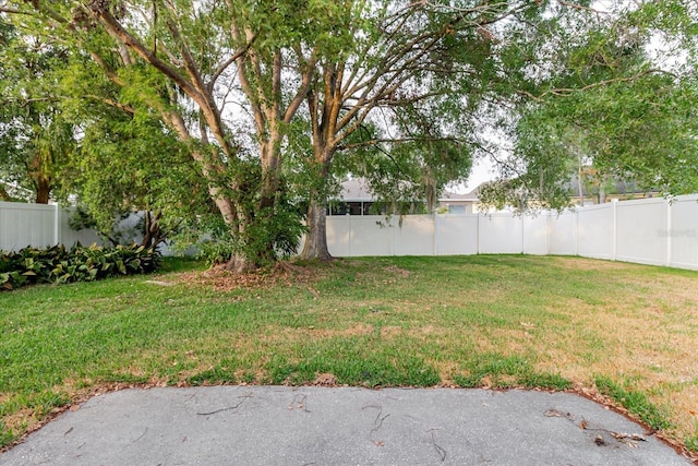 24839 Wild Frontier Dr, Land O Lakes, FL 34639 - photo 31