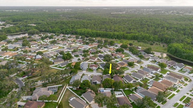 24839 Wild Frontier Dr, Land O Lakes, FL 34639 - photo 37