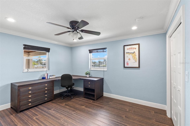4331 13th Way NE, Saint Petersburg, FL 33703 - photo 31