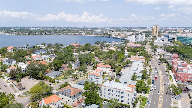 53 Albemarle Ave, Tampa, FL 33606 - photo 67