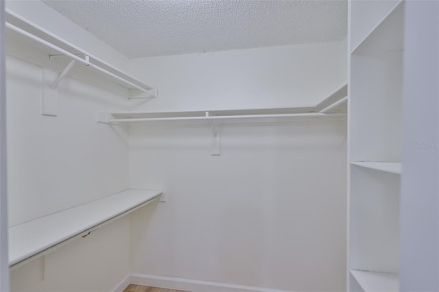 13703 Sweetwater Cove Pl, Tampa, FL 33613 - photo 23