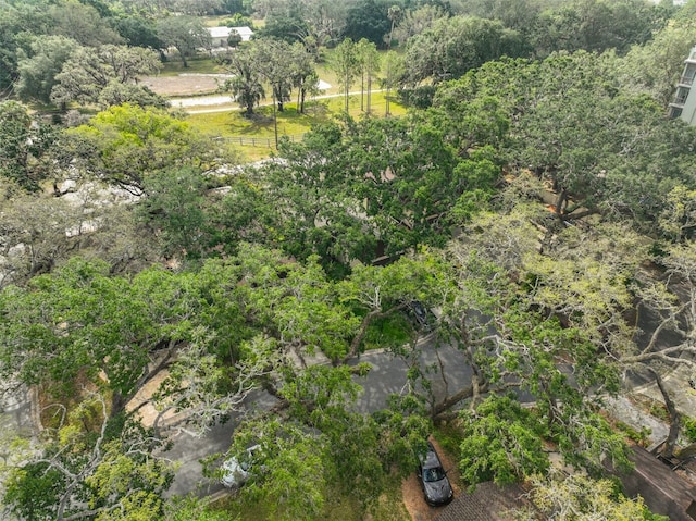 13703 Sweetwater Cove Pl, Tampa, FL 33613 - photo 43